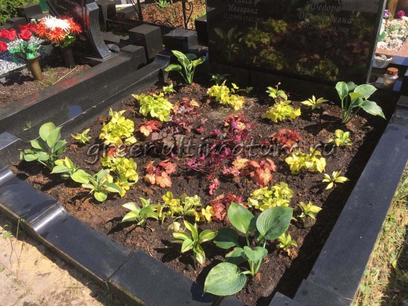 Какие цветы лучше сажать на кладбище на могиле?