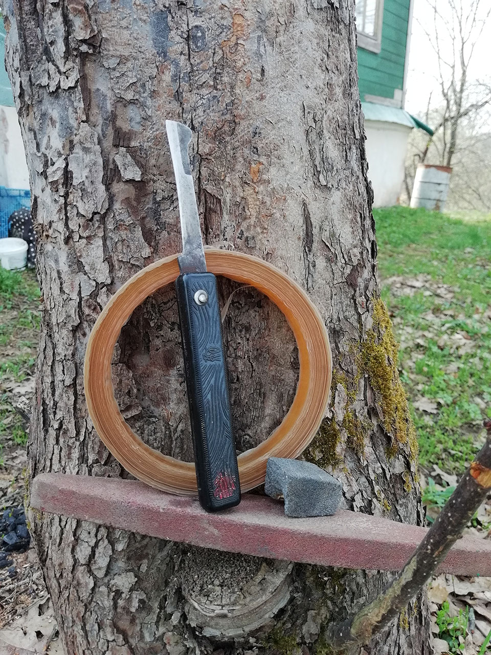 Инструмент для прививки деревьев